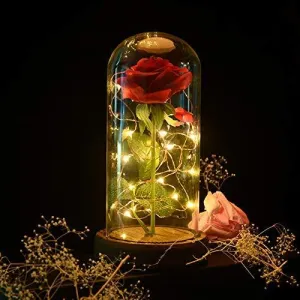 Enchanted Rose Beauty and the Beast Rose Preserved Rose with LED Light Valentine's Day Anniversary Gifts