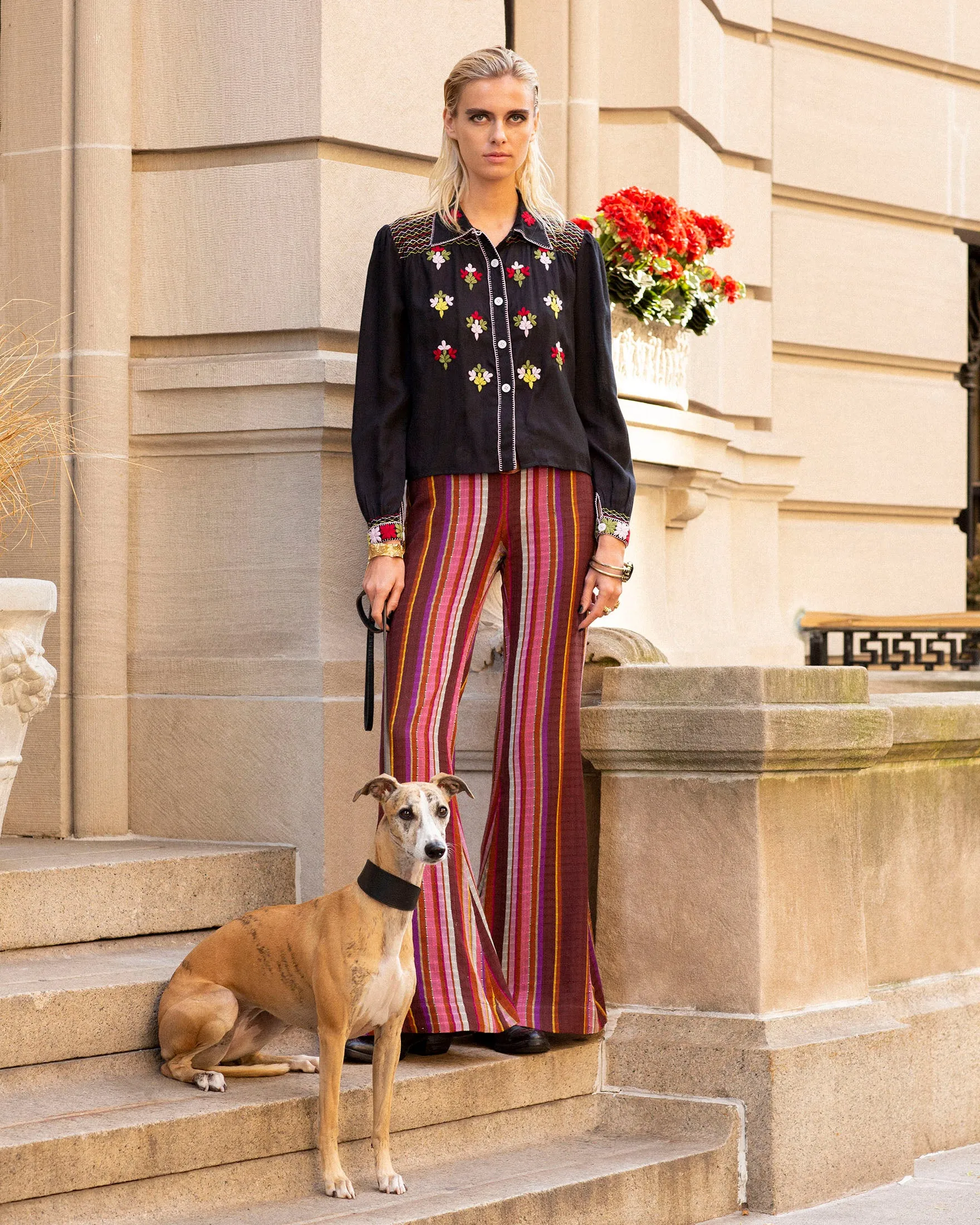 Farah Berry Truffle Flare Pant